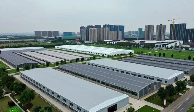 平面设计处理方法的选择与实际应用